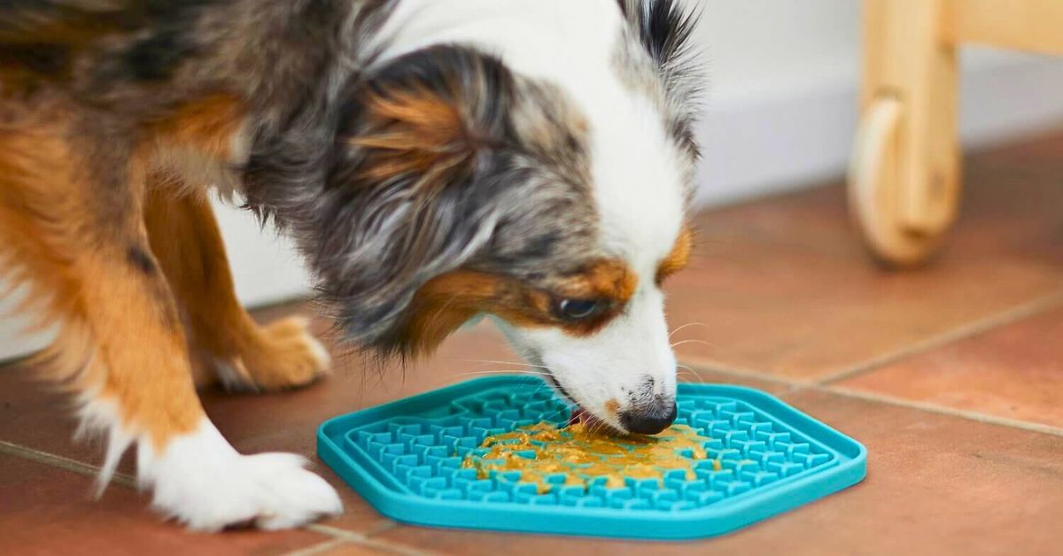 Lickimat o Alfombra de Lamido para Perros