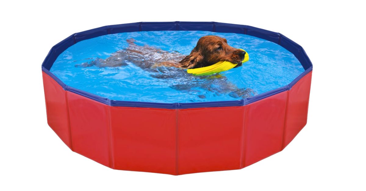 Piscinas para Perros