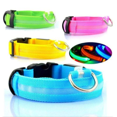 Collar Luminoso para Perros