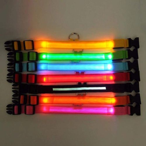 Collar Luminoso para Perros