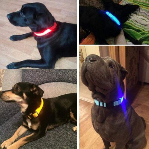 Collar Luminoso para Perros