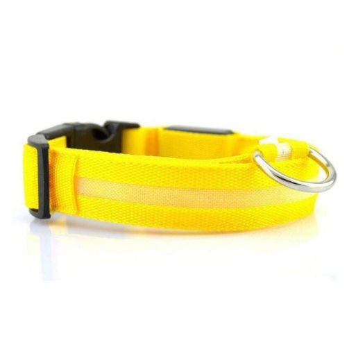 Collar Luminoso para Perros