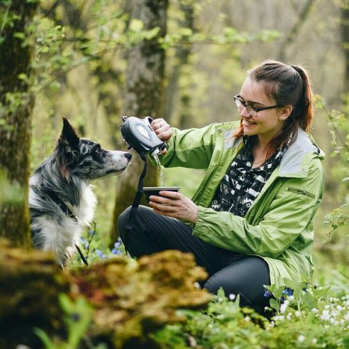 Correa para Perros 4 en 1 Multifunción