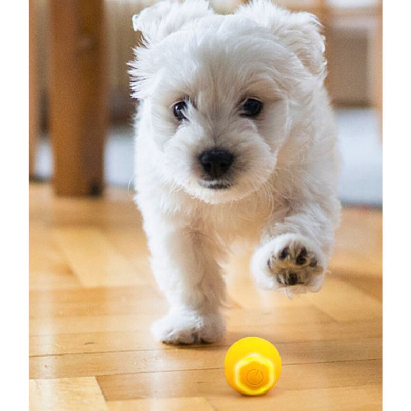 Pelota interactiva para Gatos