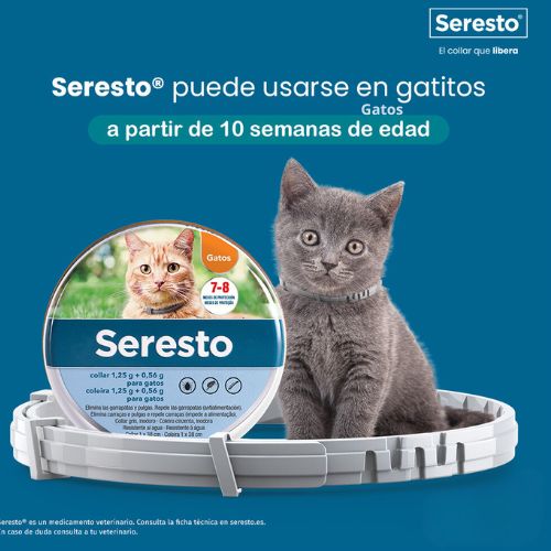 Collar Seresto Antiparasitario Gatos