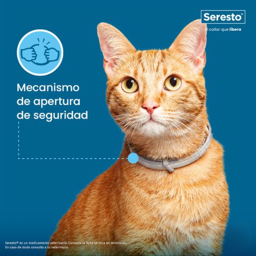 Collar Seresto Antiparasitario Gatos