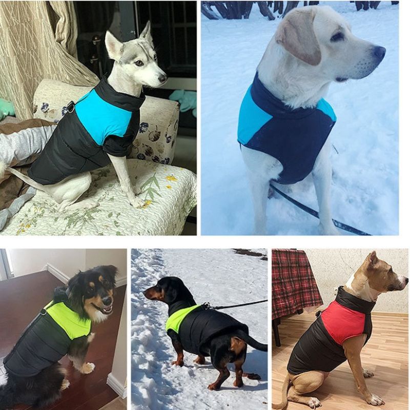 Chaqueta con arnés Overall para perro