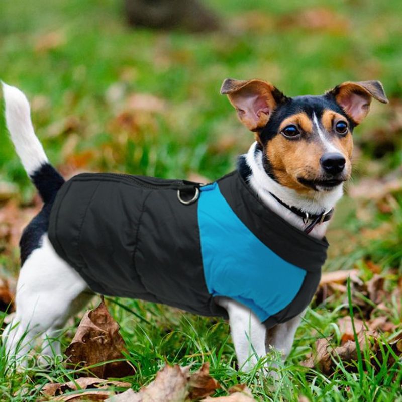 Chaqueta con arnés Overall para perro