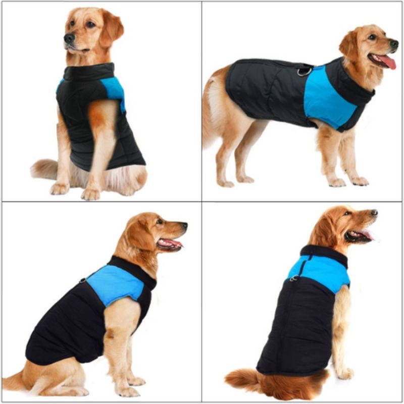 Chaqueta con arnés Overall para perro