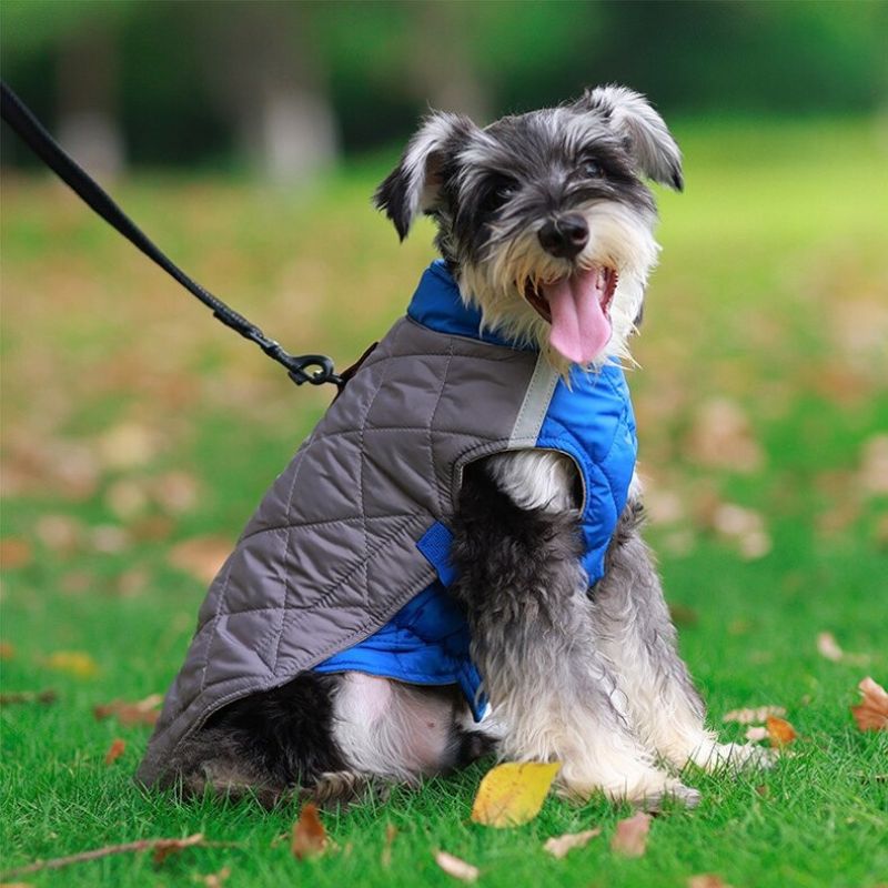 Abrigo Outdoor para Perro