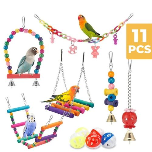 Pack Accesorios para Jaulas Pájaros