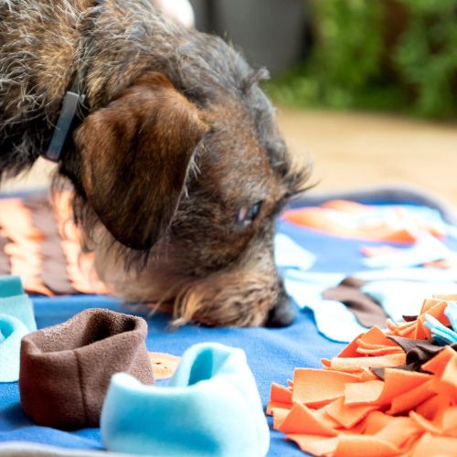 Alfombra Olfativa para Mascotas