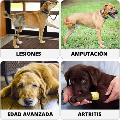 Arnés Ortopédico Patas Traseras Perro