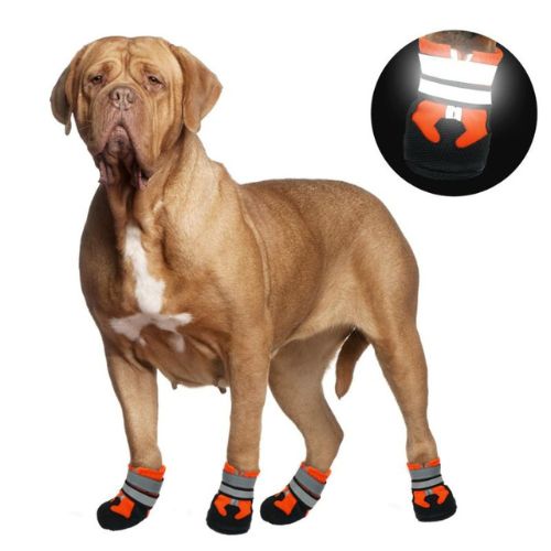 Botas protectoras para Perro