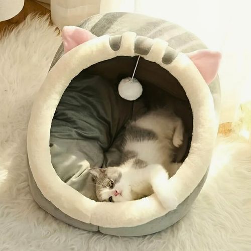 Cama Iglu Animada Gatos