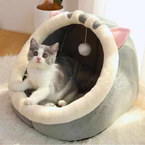 Cama Iglu Animada Gatos