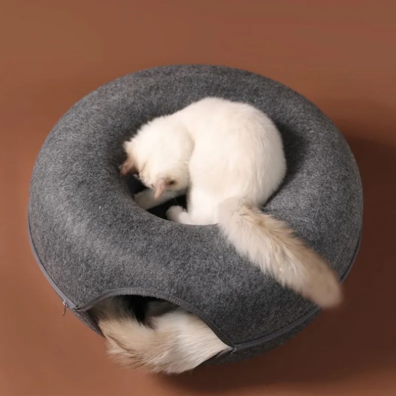 Cama cueva rígida de Gato