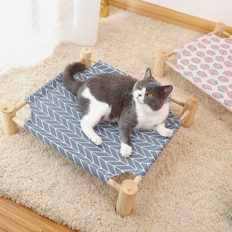 Cama elevada para Gato