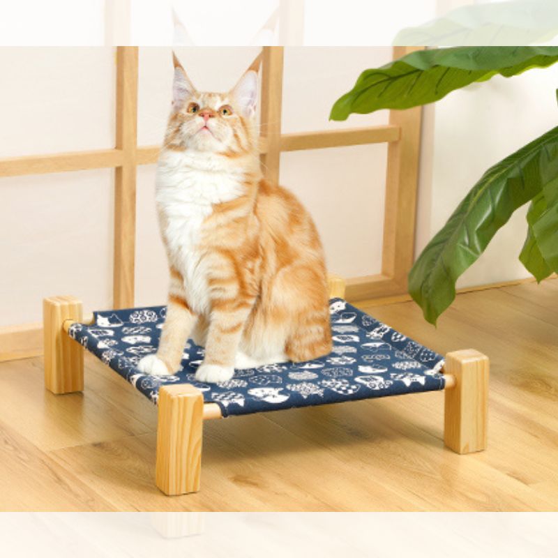 Cama elevada para Gato