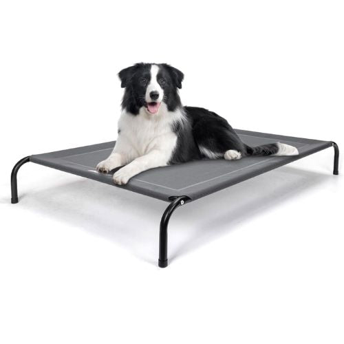 Cama Elevada para Perros