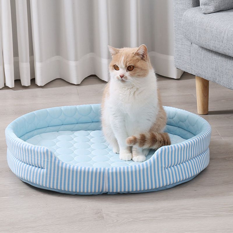 Cama de Verano para Gato