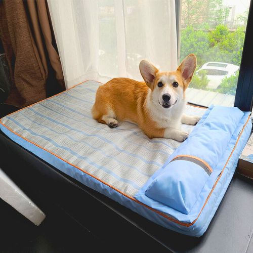 Cama Ortopédica para Mascotas