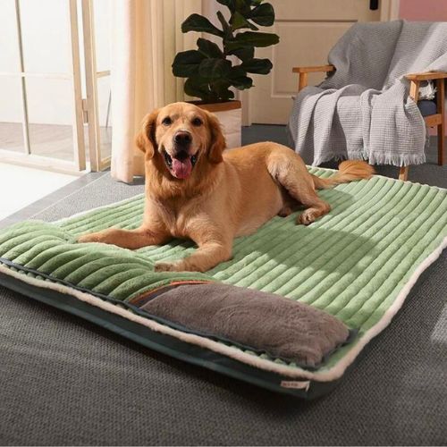 Cama Ortopédica para perros Wellness