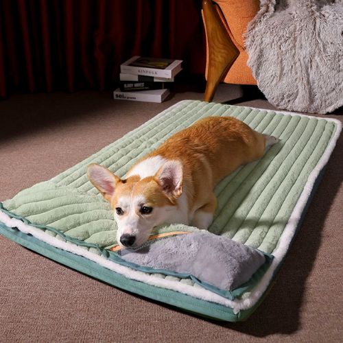 Cama Ortopédica para perros Wellness