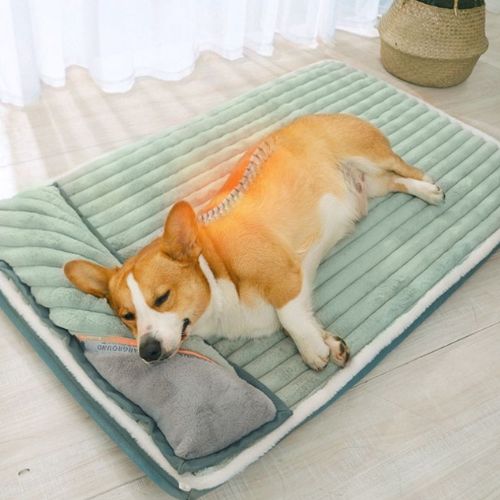 Cama Ortopédica para perros Wellness