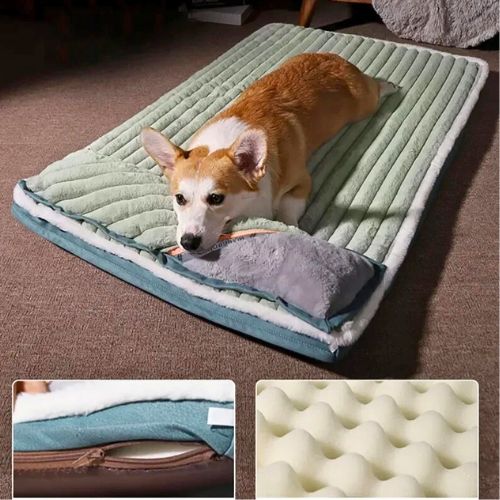 Cama Ortopédica para perros Wellness