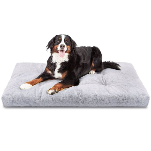Cama Lavable para Perros