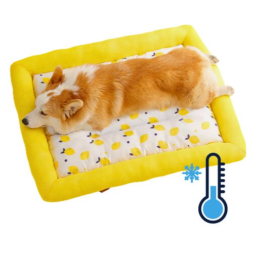 Cama Verano Fresh para Mascotas