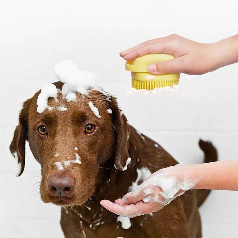 Cepillo Dispensador de Champú para Mascotas