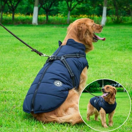 Chaqueta Impermeable con Arnés para Perro