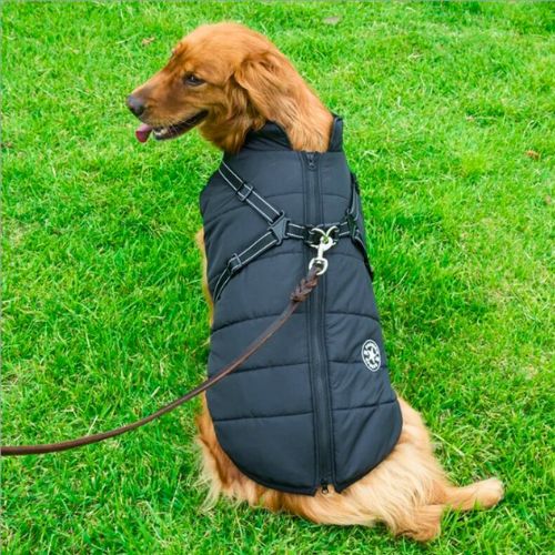 Chaqueta Impermeable con Arnés para Perro