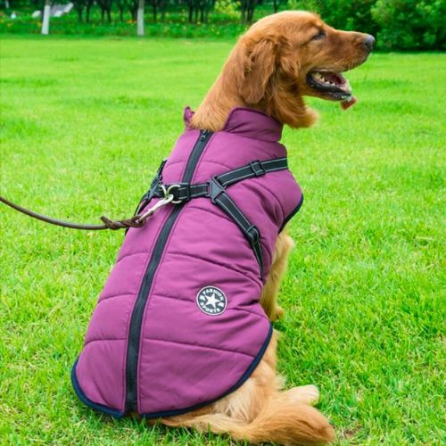 Chaqueta Impermeable con Arnés para Perro