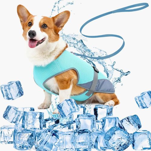 Chaleco Refrescante Perros