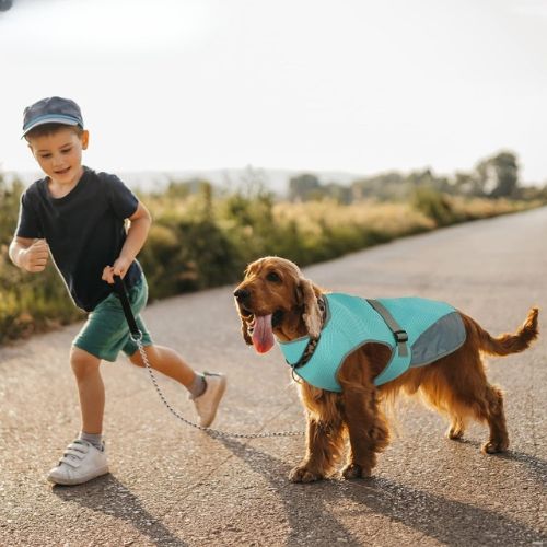 Chaleco Refrescante Perros