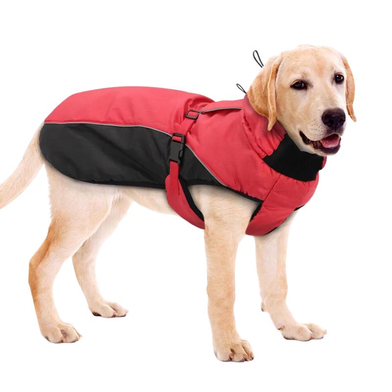 Chaqueta impermeable perros