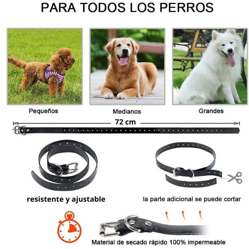 Collar de Adiestramiento para 2 Perros