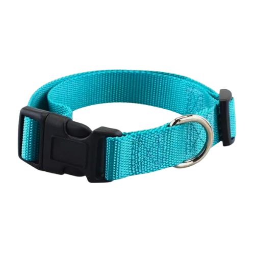 Collar Basic para Perro