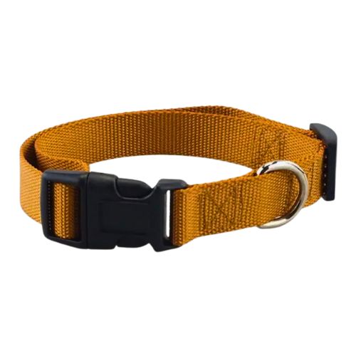 Collar Basic para Perro