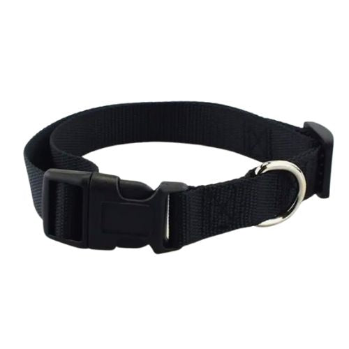 Collar Basic para Perro