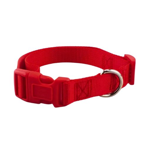 Collar Basic para Perro