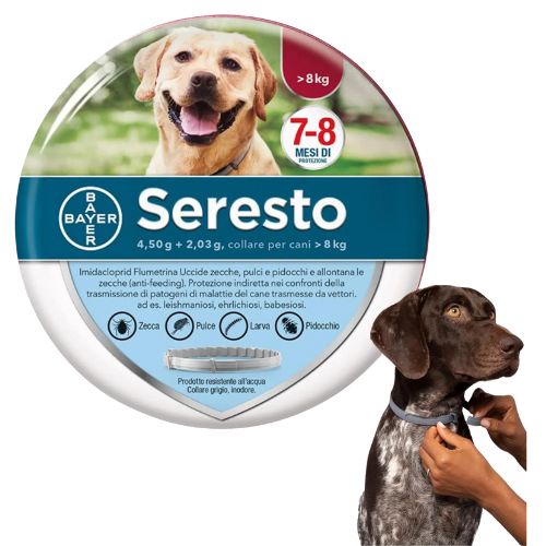 Collar Seresto Antiparasitario Perros