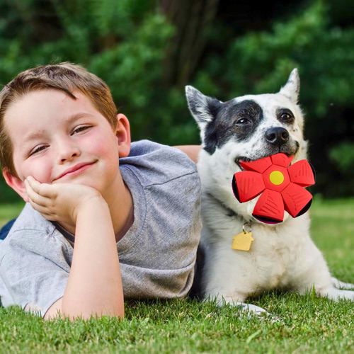 Juguete Frisbee para Perros