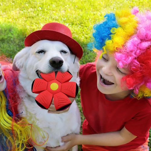 Juguete Frisbee para Perros