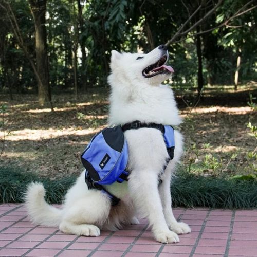 Mochila de Entrenamiento para Perros con Arnés