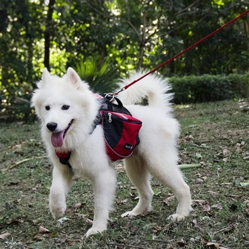 Mochila de Entrenamiento para Perros con Arnés