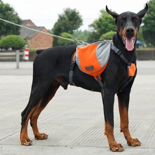 Mochila de Entrenamiento para Perros con Arnés